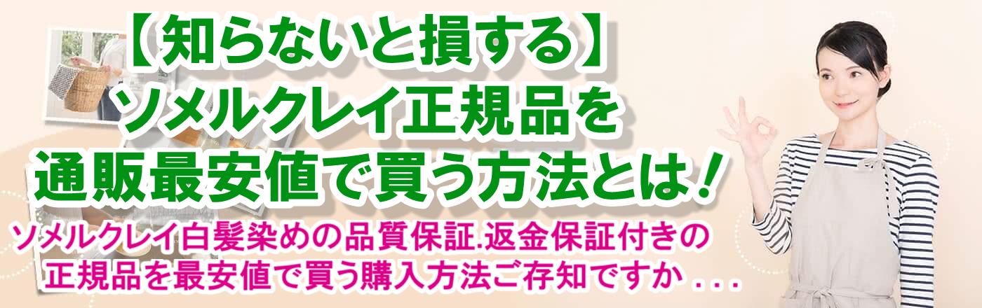 【知らないと損する】ソメルクレイ正規品を通販最安値で買う方法とは